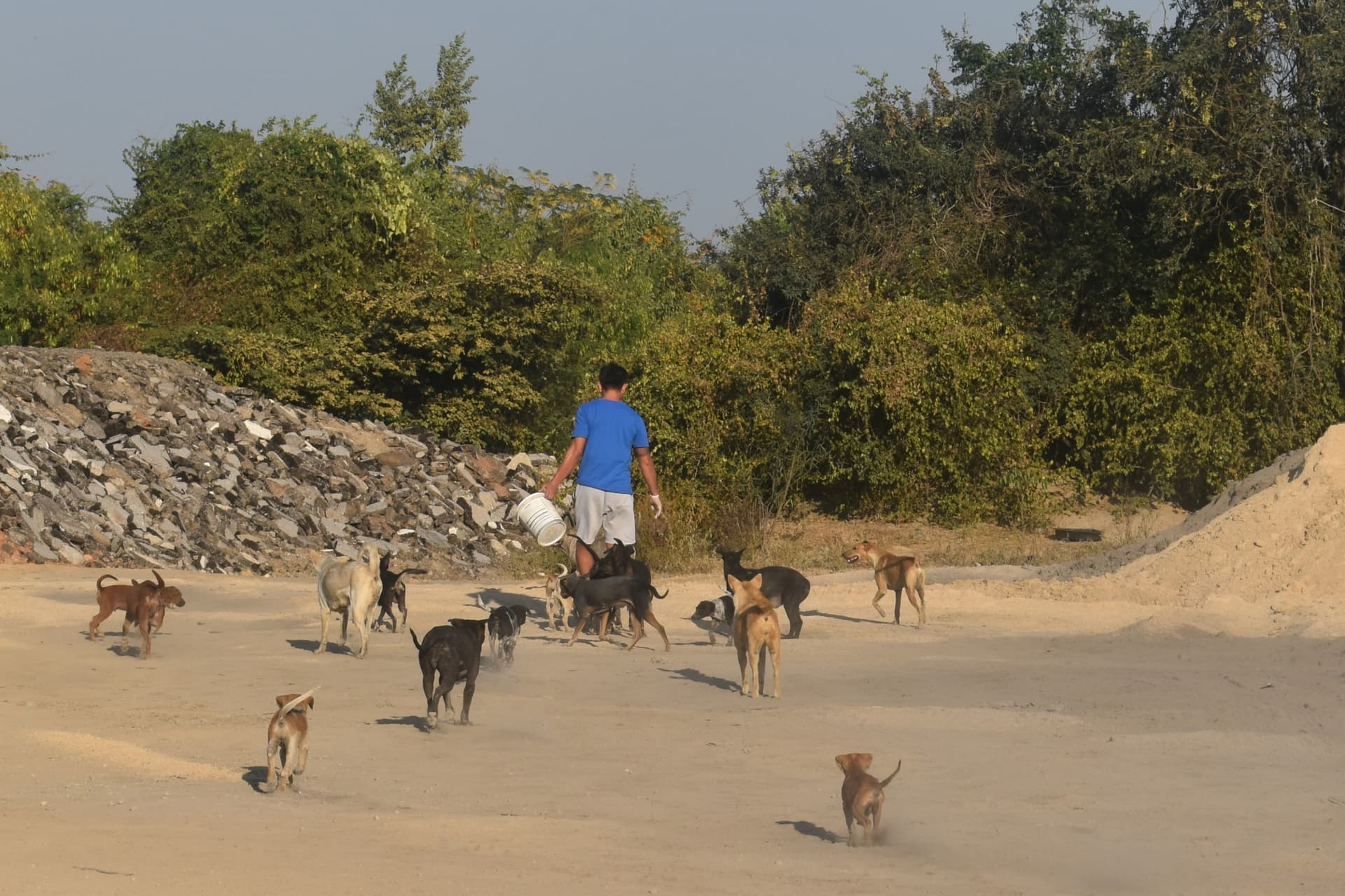 Monthly Food Programme