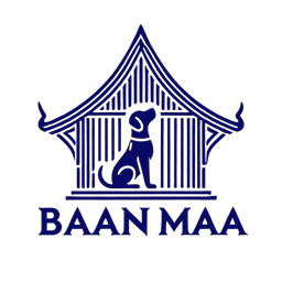 Baan Maa Dog Rescue