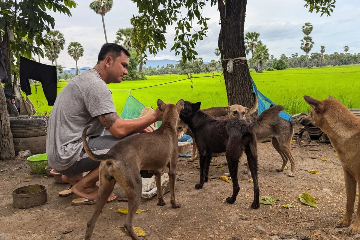 Rescue worker carrying an injured dog