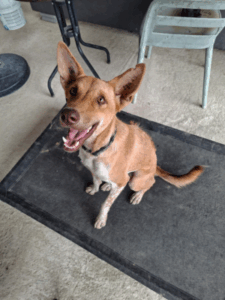 Ka Nom Adoption (4)